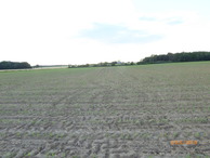 #2: View North