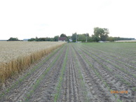 #5: View West