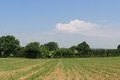 Visit #5: [05-Jun-13]