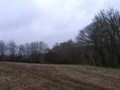 #5: View east / Blick nach Osten