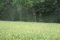 48°N 1°E preview image