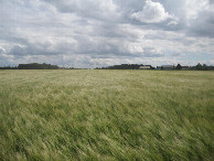 #3: Süden; view south