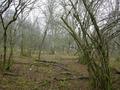 #3: View west / Blick nach Westen