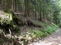 #4: West