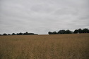 #2: View west / Blick nach Westen