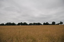 #3: View south / Blick nach Süden