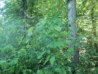 #3: Süden; view south