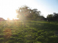 #4: Westen; view west