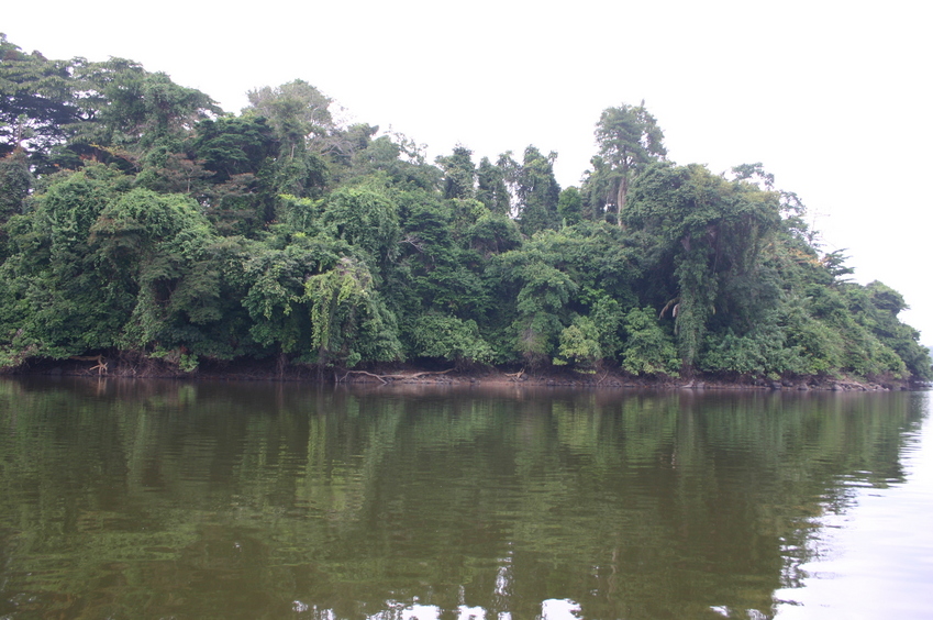 From the confluence point, looking east