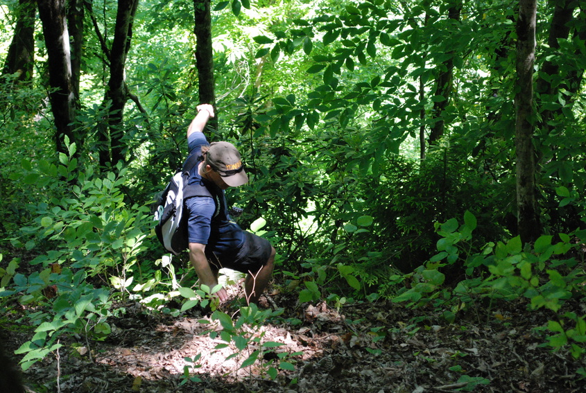 Negotiating the hillside