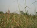 #3: View to E