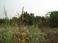 #4: View to S
