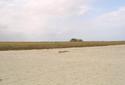 #2: At the Confluence looking East