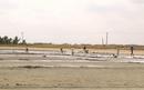 #8: Salt panning in the area
