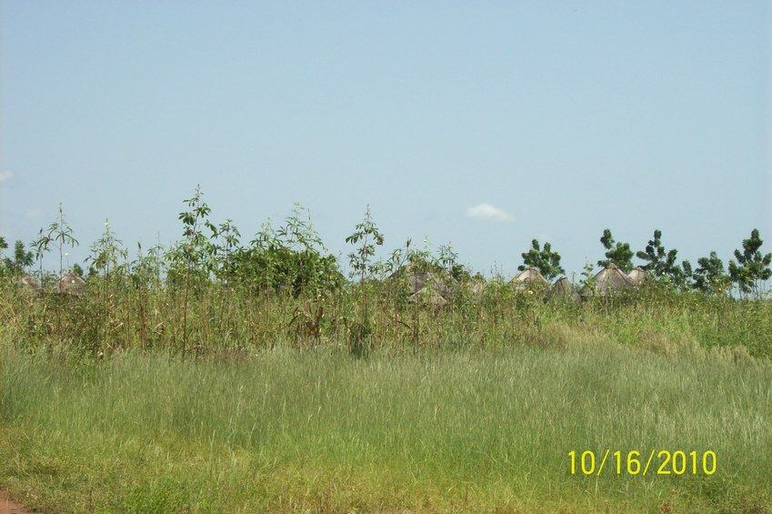 The Compound from a distance