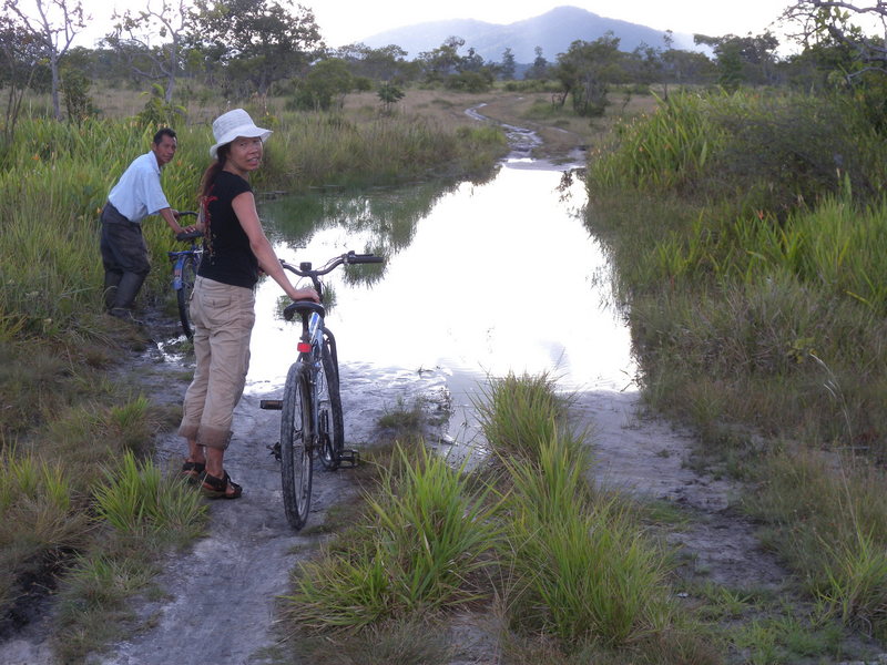 The Biking Trail