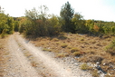#9: Landscape - 55 m to go