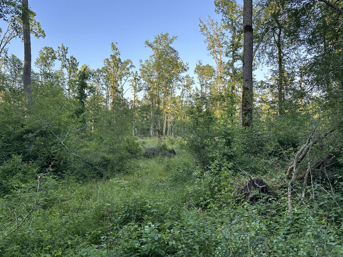 View to the East