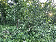 #3: View to the West