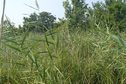 #5: View to the west / Вид на запад