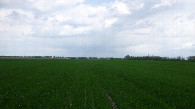 #3: East