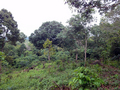 #2: east 