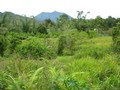 #3: View North