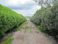 #10: CP from fieldtrack, view northeast, parking