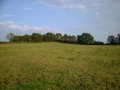 #3: Confluence pic 3