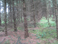 #2: Osten; view east