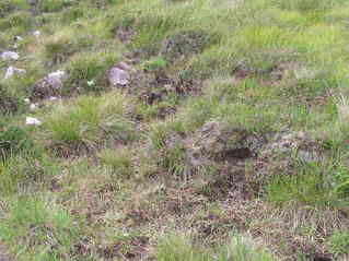#1: The confluence point lies on a boggy slope