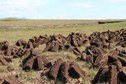 #8: Drying peat