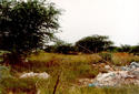 #4: View east from confluence point