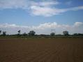 #2: Looking North