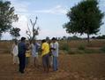 #6: Explaing to farmers