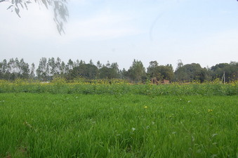 #1: General view of the Confluence Point