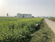 #4: West