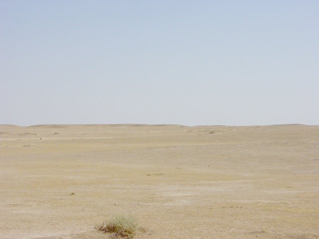 Facing North