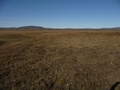 #4: North