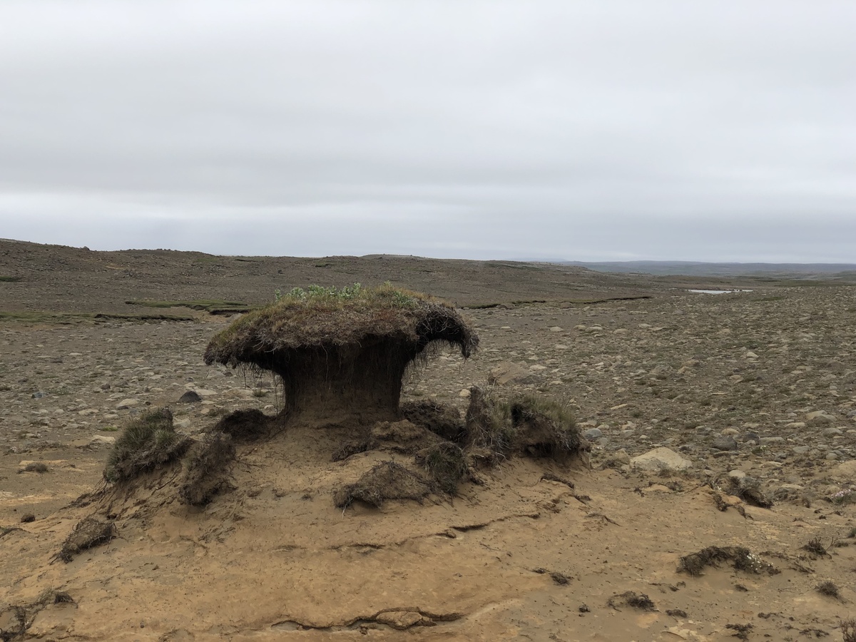 Interesting Feature from Erosion