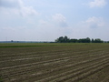 #3: View south