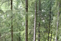 Visit #3: [23-May-08]