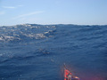 #4: Looking west from the confluence.  Nearest land is over 1000km away in this direction.