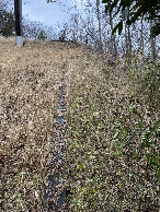#3: 35N135E looking east