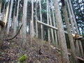 #4: The South View