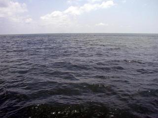 #1: General View - East
