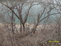 #3: General view -exact CP could be somewhere on those bedrocks
