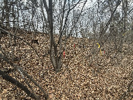#2: North
