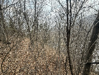#5: East