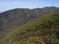 #2: North